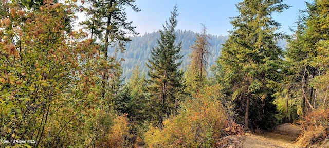 NKA Silver Creek Rd, Clark Fork, ID 83811