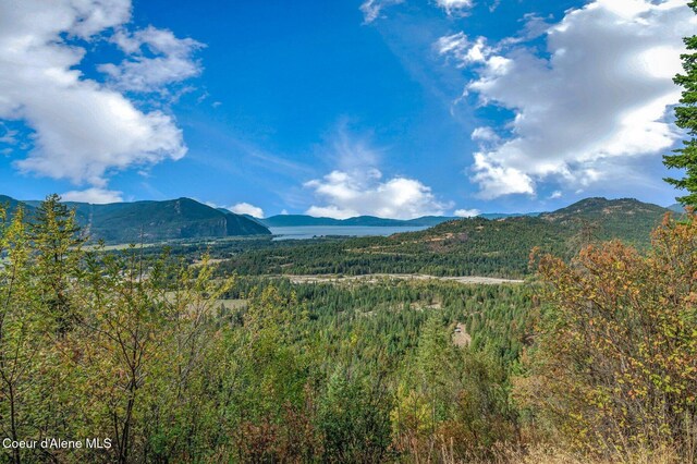 NKA Silver Creek Rd, Clark Fork, ID 83811