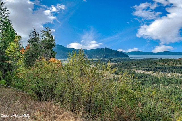 NKA Silver Creek Rd, Clark Fork ID, 83811 land for sale