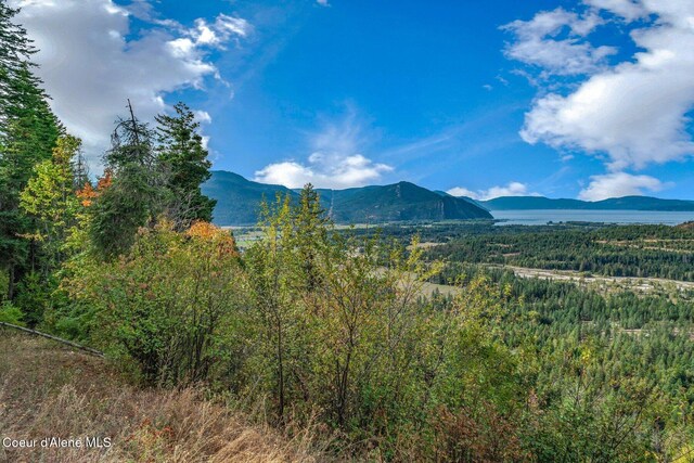 NKA Silver Creek Rd, Clark Fork, ID 83811
