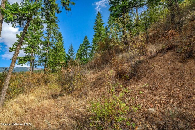 NKA Silver Creek Rd, Clark Fork, ID 83811