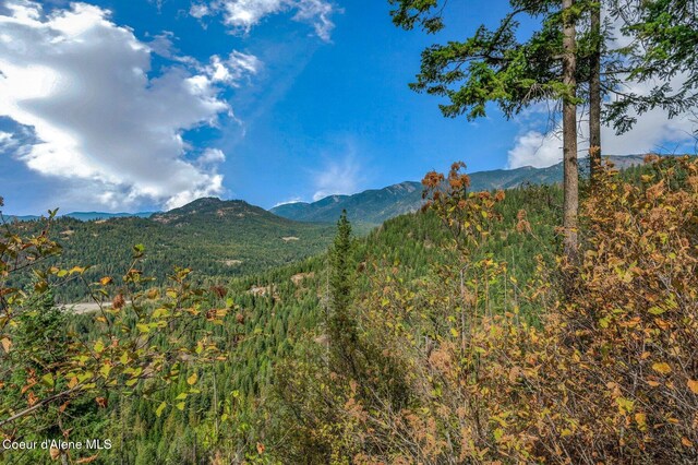 NKA Silver Creek Rd, Clark Fork, ID 83811