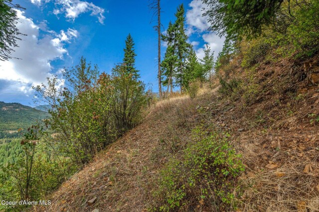 NKA Silver Creek Rd, Clark Fork, ID 83811