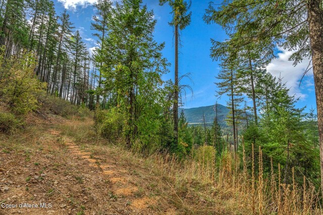 NKA Silver Creek Rd, Clark Fork, ID 83811