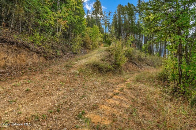 NKA Silver Creek Rd, Clark Fork, ID 83811