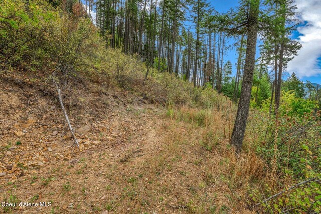NKA Silver Creek Rd, Clark Fork, ID 83811