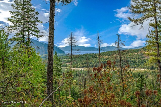 NKA Silver Creek Rd, Clark Fork, ID 83811