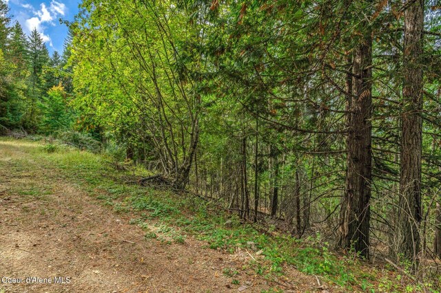 NKA Silver Creek Rd, Clark Fork, ID 83811
