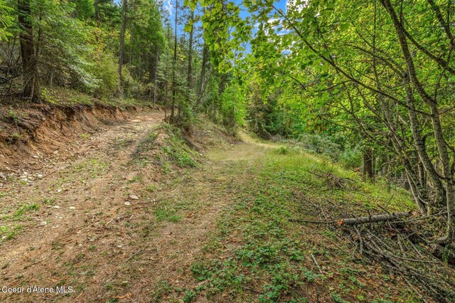 NKA Silver Creek Rd, Clark Fork, ID 83811