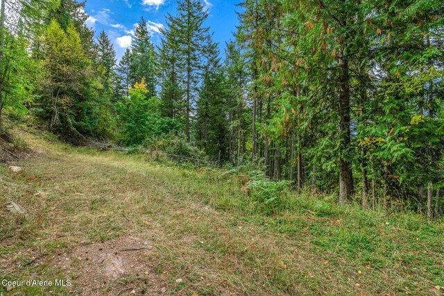 NKA Silver Creek Rd, Clark Fork, ID 83811