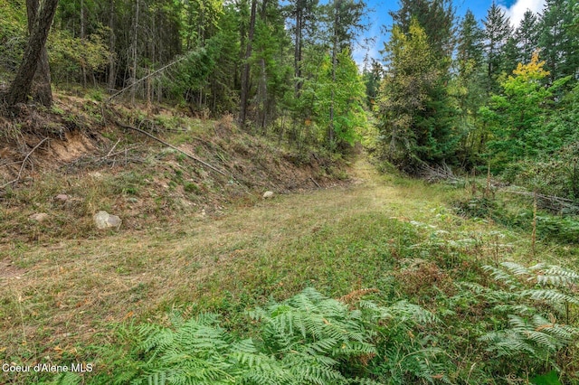 NKA Silver Creek Rd, Clark Fork, ID 83811