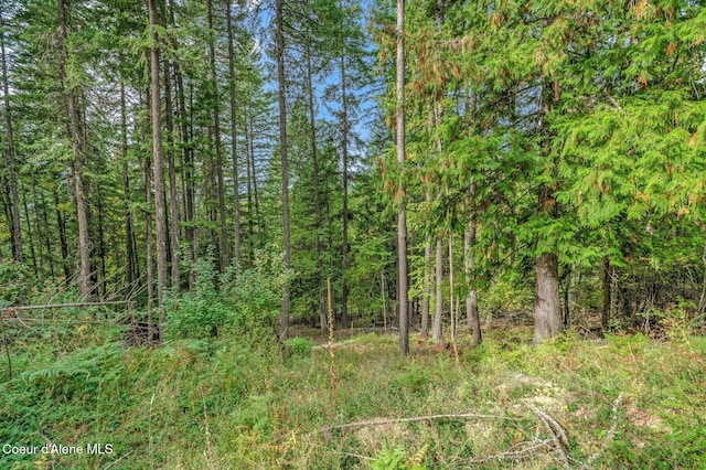 Listing photo 3 for NKA Silver Creek Rd, Clark Fork ID 83811