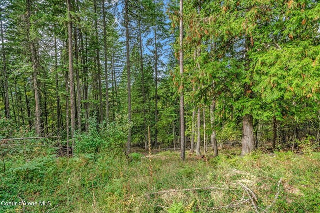 NKA Silver Creek Rd, Clark Fork, ID 83811