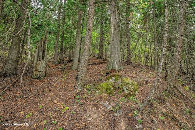 NKA Silver Creek Rd, Clark Fork, ID 83811