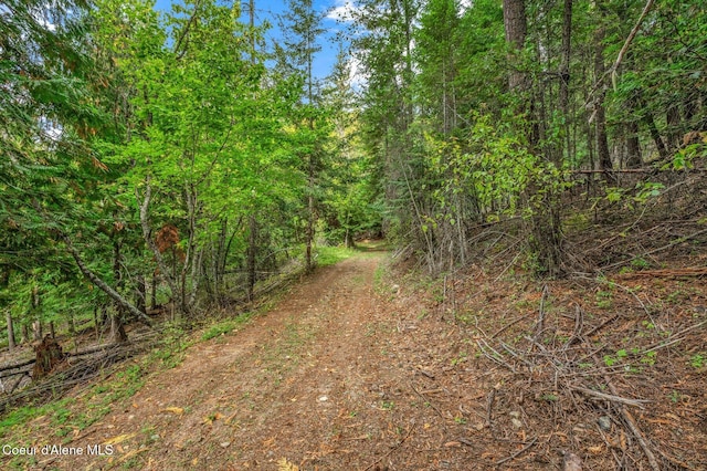 NKA Silver Creek Rd, Clark Fork, ID 83811