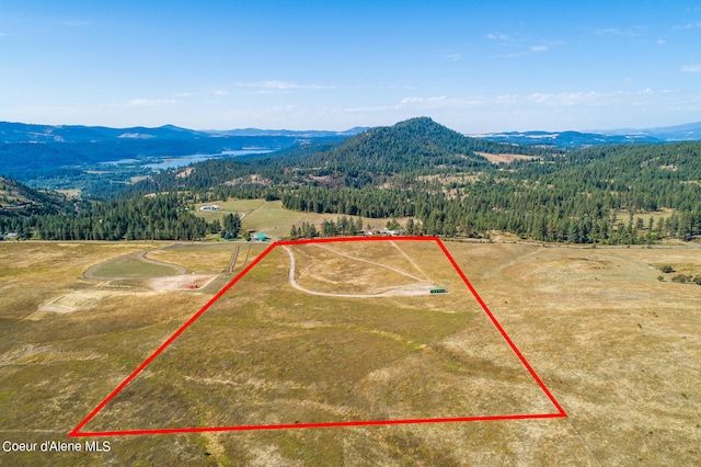 32926 S Hells Gulch Rd, Saint Maries ID, 83861 land for sale