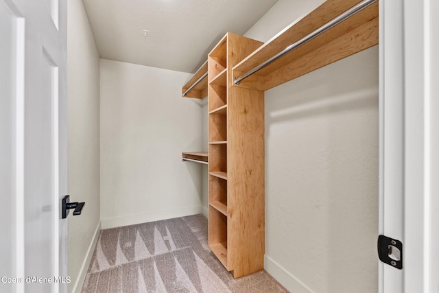 walk in closet with carpet flooring