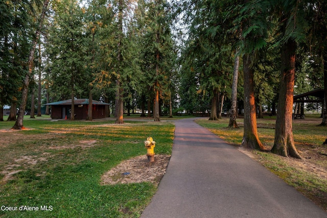 view of community featuring driveway and a yard