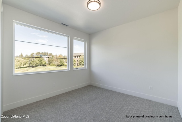 unfurnished room with a healthy amount of sunlight and carpet