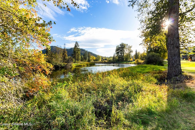water view featuring a forest view