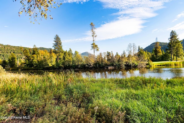 view of water feature featuring a mountain view and a forest view