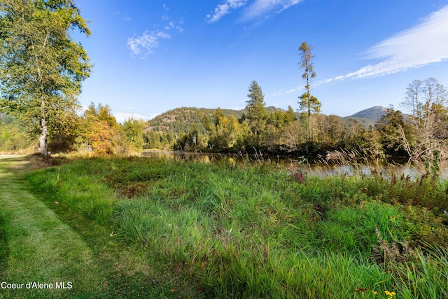 view of landscape with a forest view and a water and mountain view