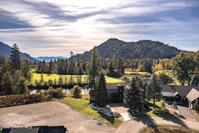 view of mountain feature with a forest view