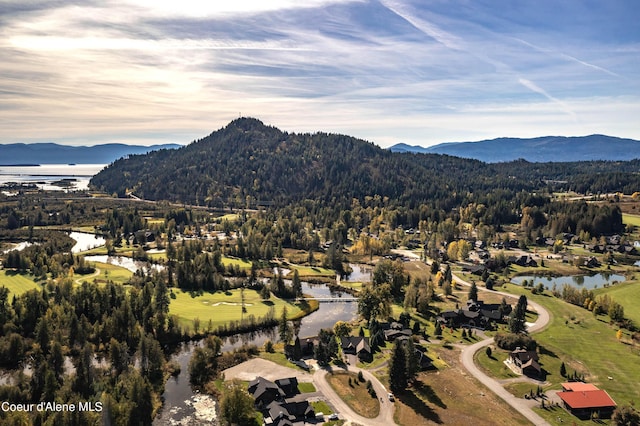 bird's eye view with a view of trees and a water and mountain view