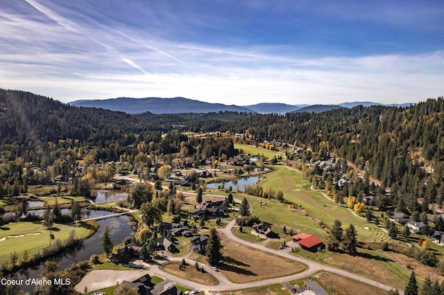 drone / aerial view featuring a view of trees and a water and mountain view