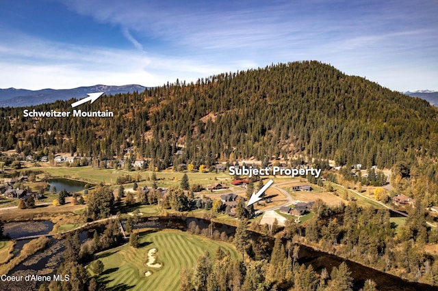 property view of mountains with a wooded view and a water view