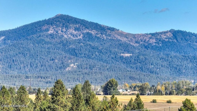 3636 N Blaze Loop, Post Falls, ID 83854