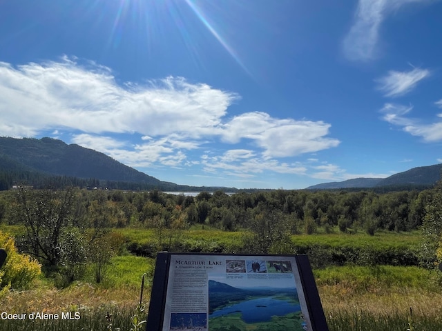 mountain view with a wooded view