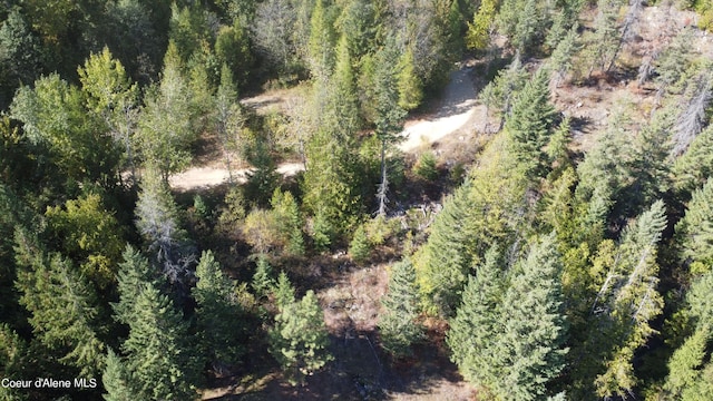 drone / aerial view featuring a view of trees