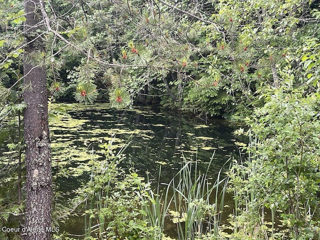 view of nature with a water view