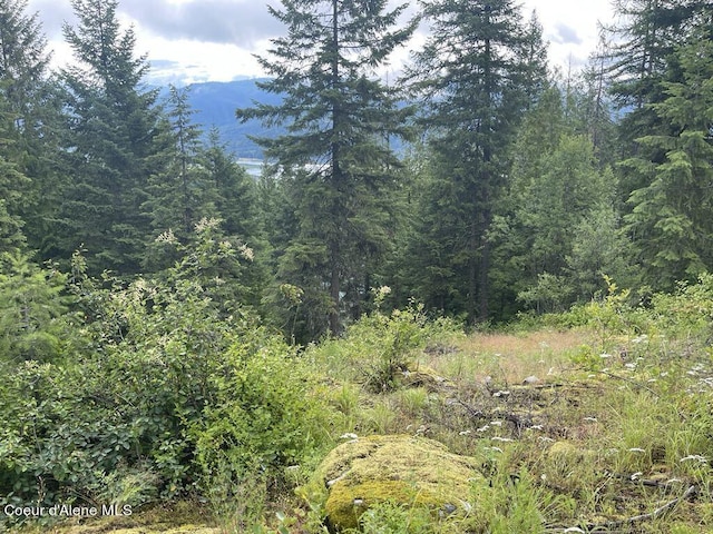 view of local wilderness with a wooded view