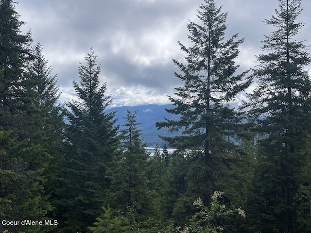 mountain view featuring a wooded view