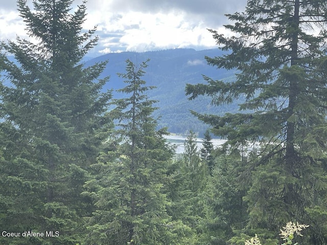 property view of mountains featuring a view of trees