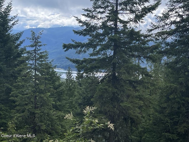mountain view featuring a forest view
