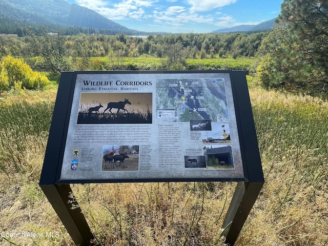 details featuring a forest view and a mountain view