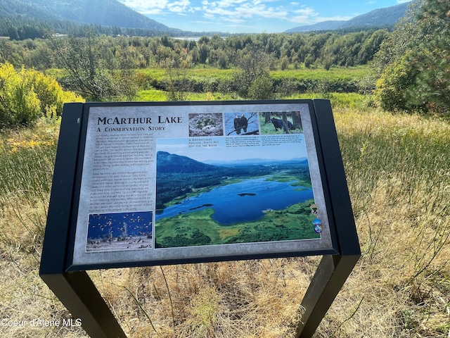 details with a mountain view and a wooded view