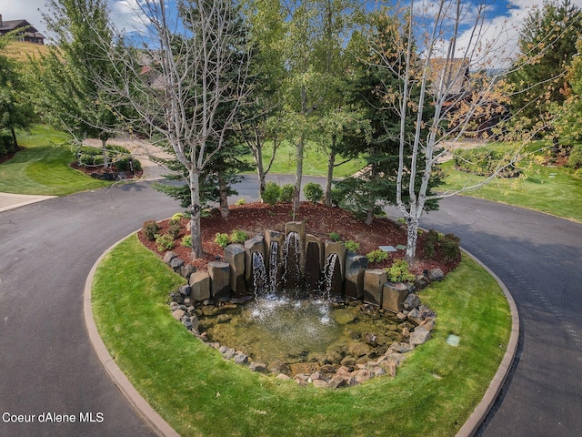 17021 S Citrine Dr, Coeur Dalene, ID 83814 - view of property's community