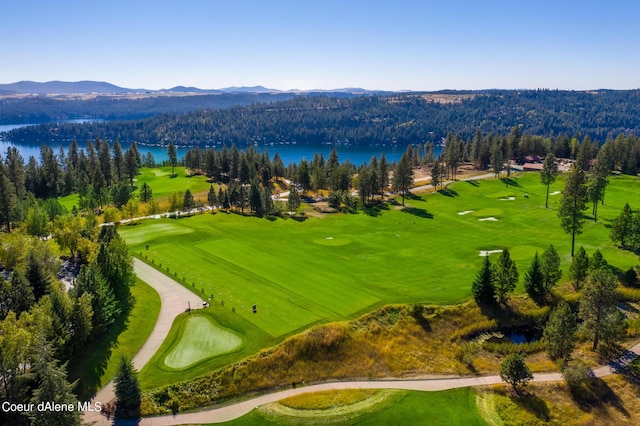 17021 S Citrine Dr, Coeur Dalene, ID 83814 - bird's eye view with a view of trees, a water and mountain view, and golf course view