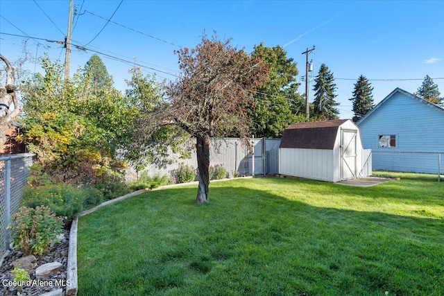 view of yard featuring a shed