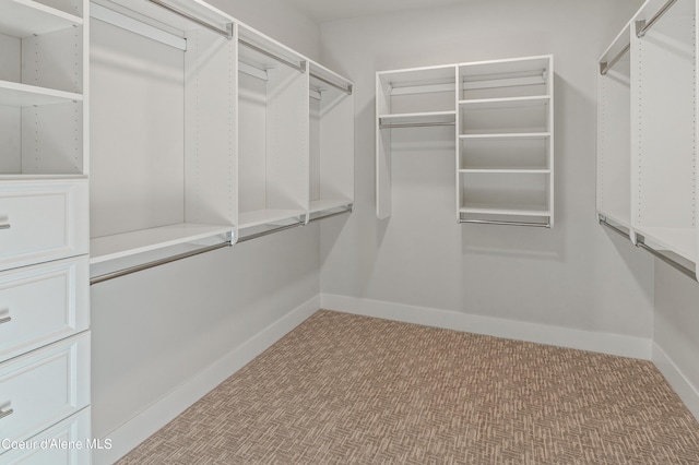 spacious closet with carpet floors