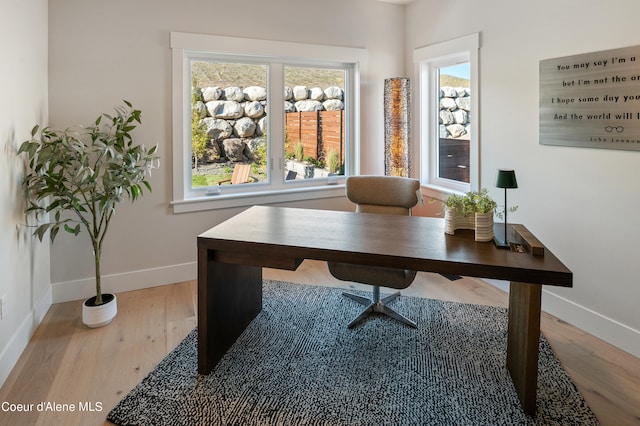 home office featuring hardwood / wood-style flooring