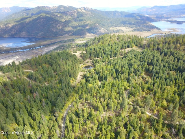 ParcelB E Lamb Road, Harrison ID, 83833 land for sale