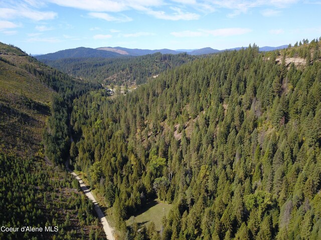 LOT2 Bear Creek Rd, Kingston, ID 83839 - photo 2