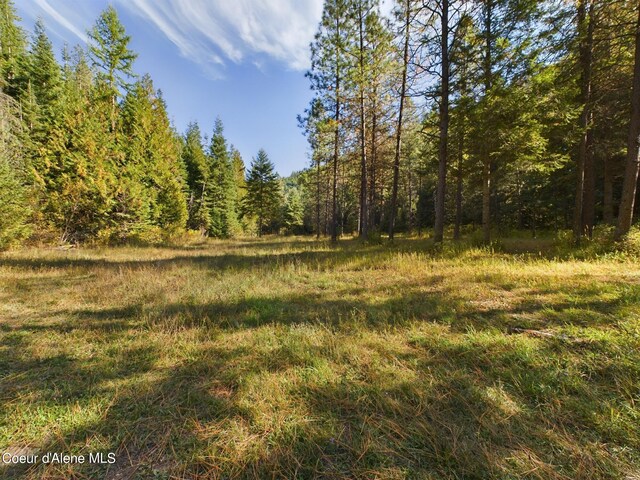 LOT2 Bear Creek Rd, Kingston, ID 83839 - photo 4