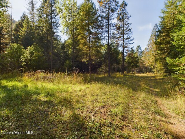 LOT2 Bear Creek Rd, Kingston, ID 83839 - photo 5