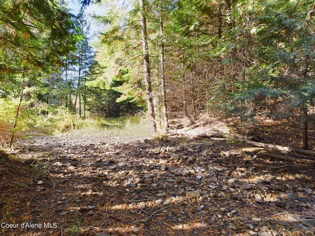 LOT2 Bear Creek Rd, Kingston, ID 83839 - photo 6
